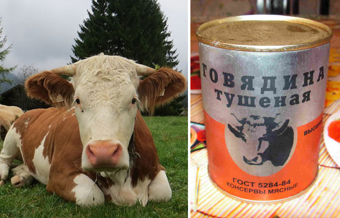 Почему говядина называется не по названию животного? Почему говядина называется не по названию животного?