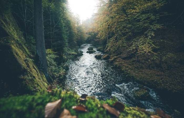 В реках есть соль, но вода не соленая! В реках есть соль, но вода не соленая!