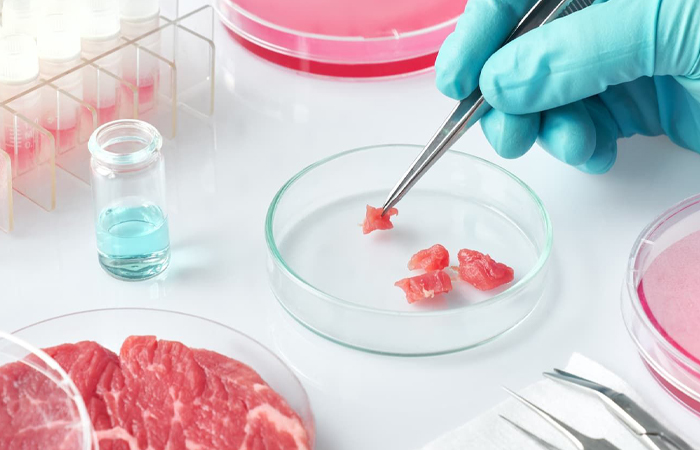 Фермент мТГ склеивает кусочки мяса. Фермент мТГ склеивает кусочки мяса.