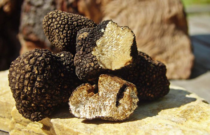 Трюфель является афродизиаком!