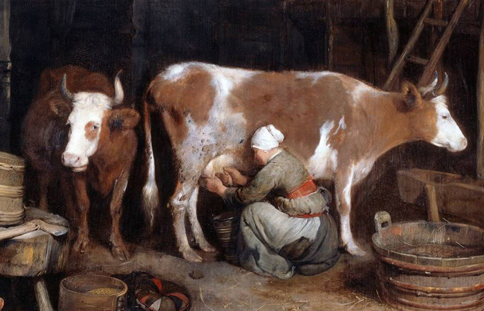 Говядо расшифровывается как крупный рогатый скот. Говядо расшифровывается как крупный рогатый скот.