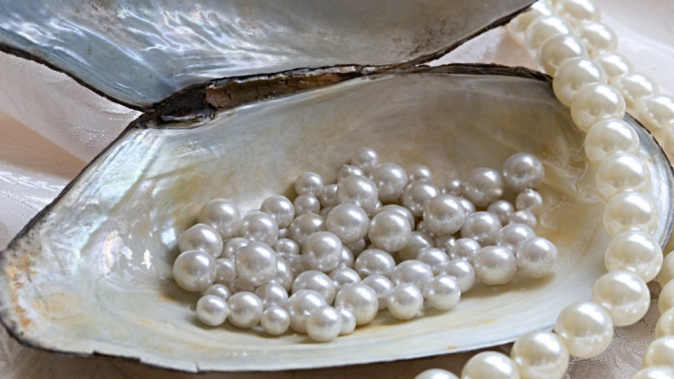 Деятельность человека поспособствовала исчезновению жемчуга. / Фото: shopbusin.ru