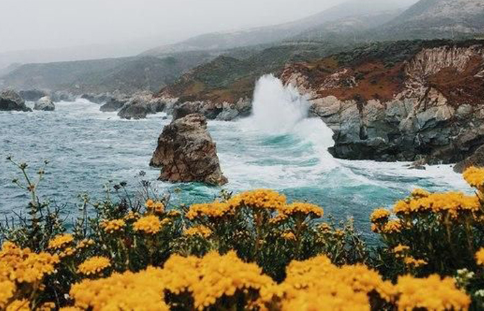 В 1 литре морской воды содержится 35 граммов соли! В 1 литре морской воды содержится 35 граммов соли!