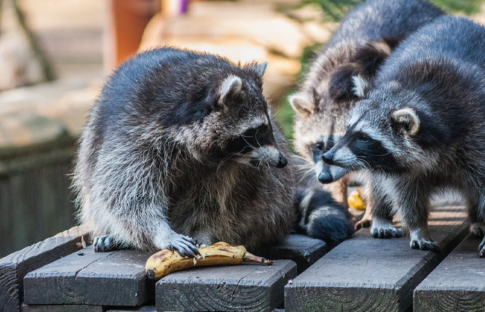 Вода улучшает восприятие о предмете.