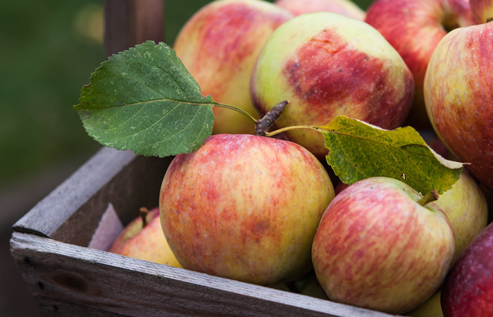 Для экспорта яблоки покрывают искусственным воском.