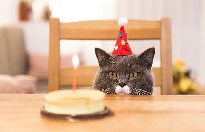 Число девять считается мистическим в разных культурах.