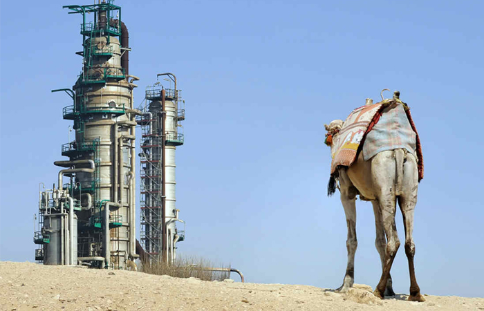 ОАЭ прославились благодаря обнаружению местонахождения нефти. / Фото: eg.ru 