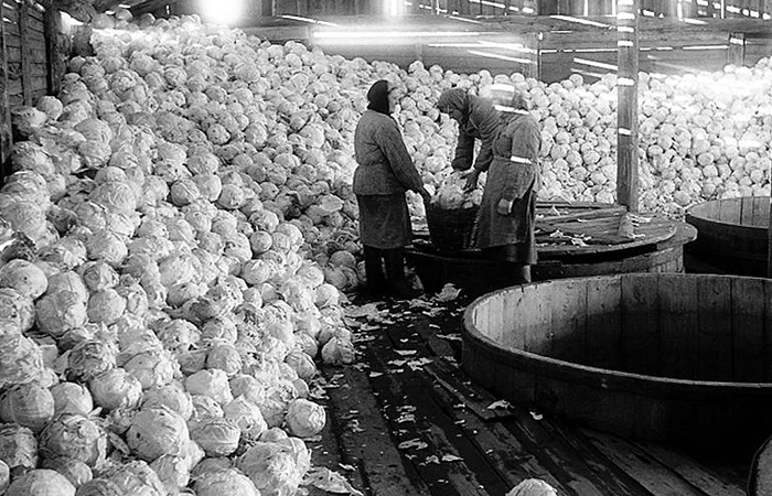 Пробиотики и ферменты помогают в переваривании продукта.