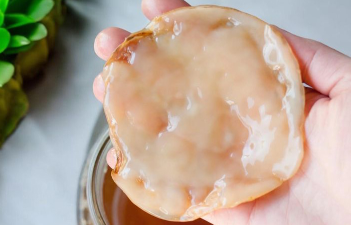 В СССР чайный гриб считали питомцем, ведьон был живым! В СССР чайный гриб считали питомцем, ведьон был живым!