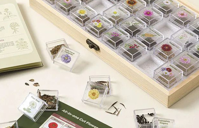 На маркетплейсе продаются готовые наборы с семенами.