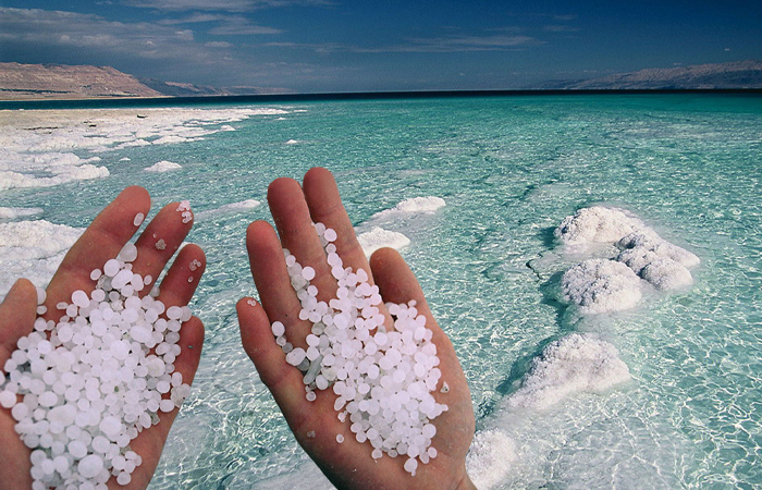 Концентрация соли в водоемах всегда остается на одном уровне. Концентрация соли в водоемах всегда остается на одном уровне.