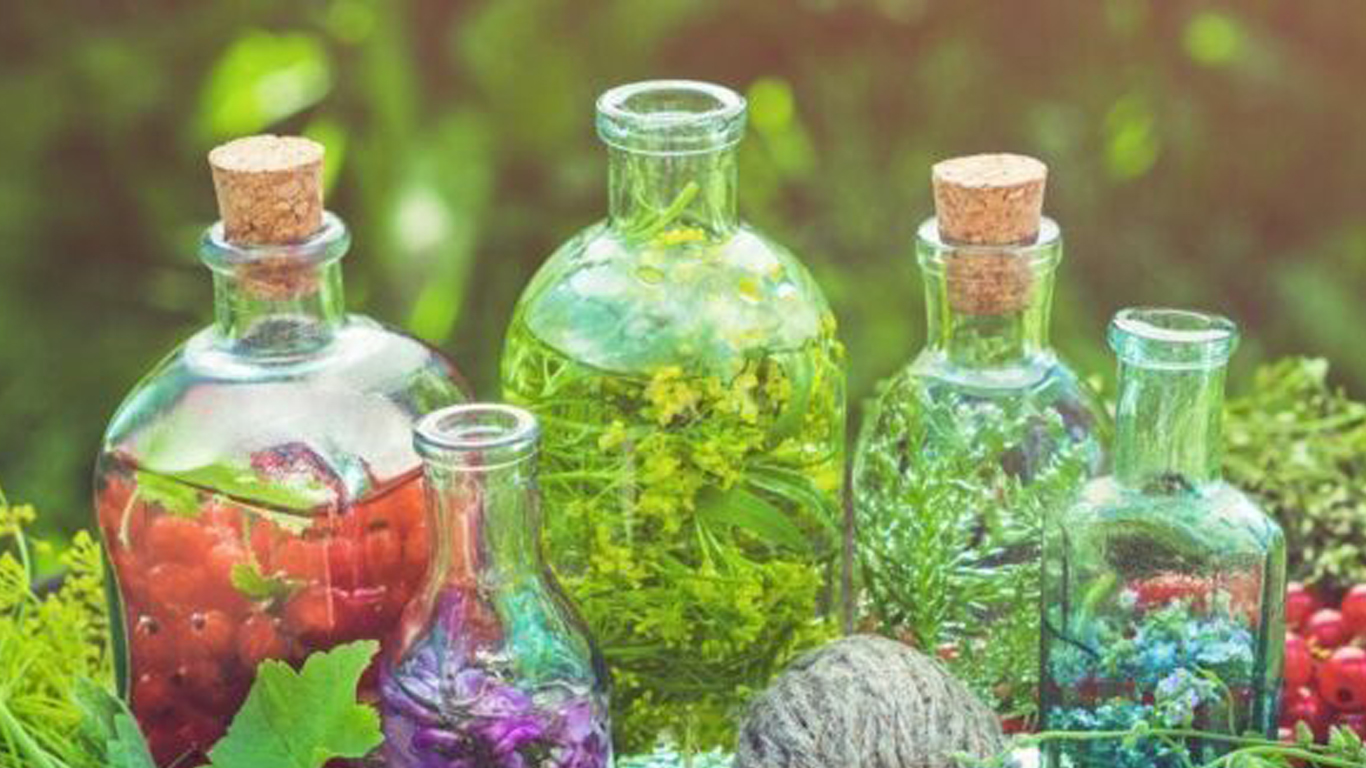 Из адамово яблока изготавливают средства для лечения популярных болезней. / Фото: р82.навигатор.дети 