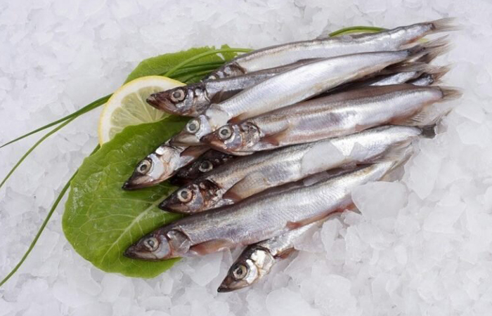 В Японии килограмм мойвы стоит 800 рублей! В Японии килограмм мойвы стоит 800 рублей!