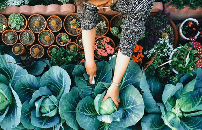 Шины могут выделять изопрен и бутадиен.