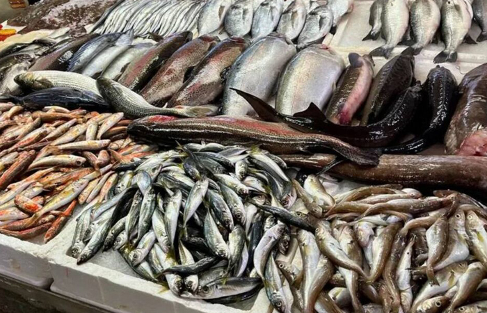 В Союзе мойву называли народной рыбой из-за низкой цены. В Союзе мойву называли народной рыбой из-за низкой цены.