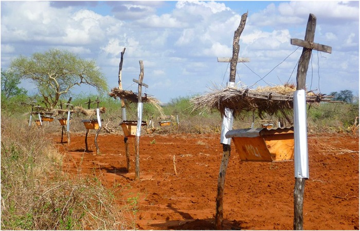 Решение было простым, но гениальным.