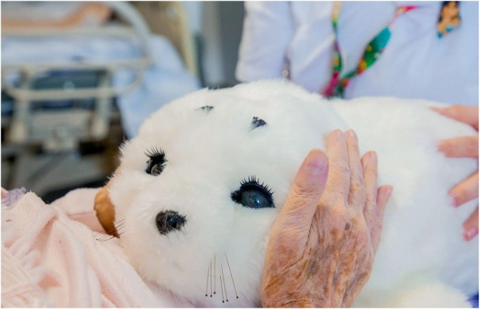 Ласковый робот для пожилых людей.