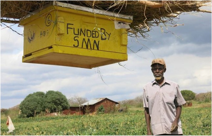 Африканцы не только отпугнули слонов, но и очень обогатились. 