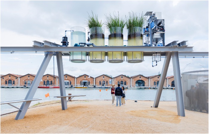 Уютная кафейня-лаборатория. 