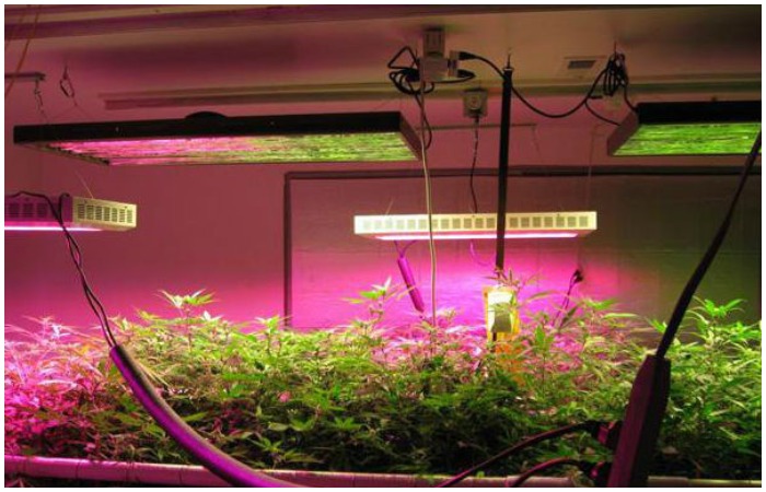 Поговорим про умный свет.