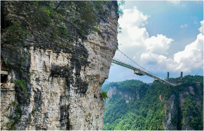 Вид снизу. Вид снизу.