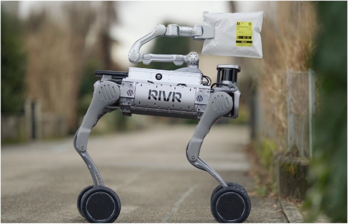 Маленький труженик на страже посылок.