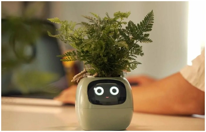 Умный (очаровательный) горшок.