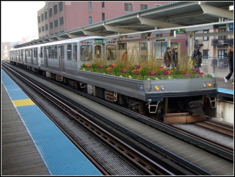 Будущий сад в метрополитене Чикаго