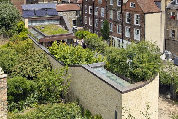 The Muse – экологичный дом с парком на крыше