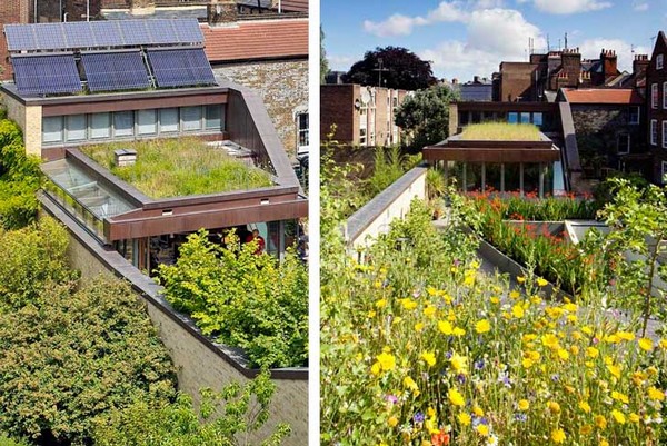 The Muse – экологичный дом с парком на крыше