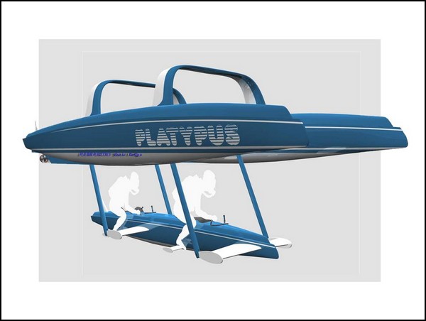 Простая и доступная подводная лодка Platypus