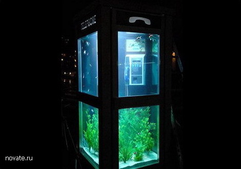 Необычный аквариум