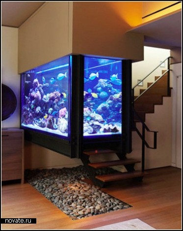 Элитный аквариум за 200 тысяч долларов