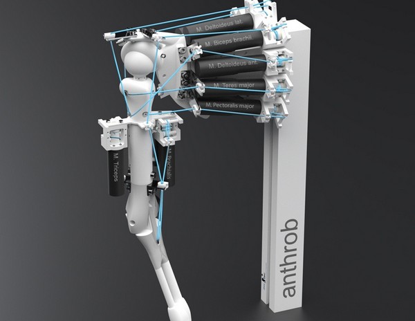 Eccerobot – робот с человеческой мимикой, мускулатурой и рефлексами