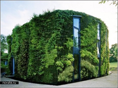 Травяной дом