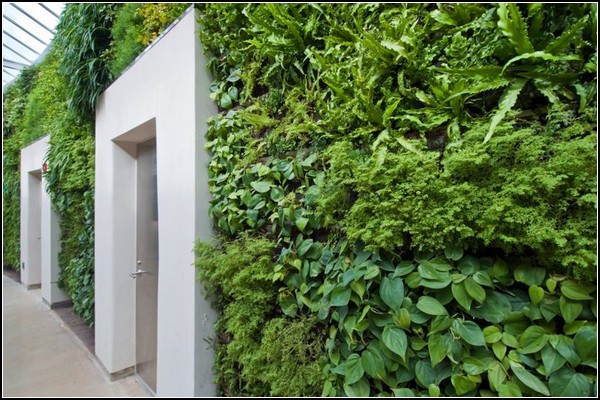 Зеленая стена – украшение администрации парка Longwood Gardens