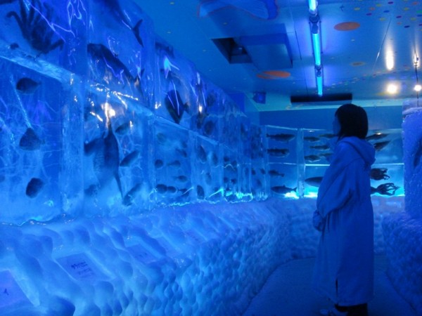 Ледяной аквариум в Японии