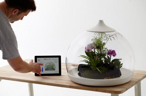 Biome Smart Terrarium – экосистема под управлением iPad