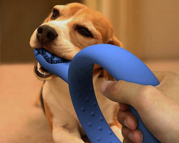 Игрушка с зубной щеткой для собаки