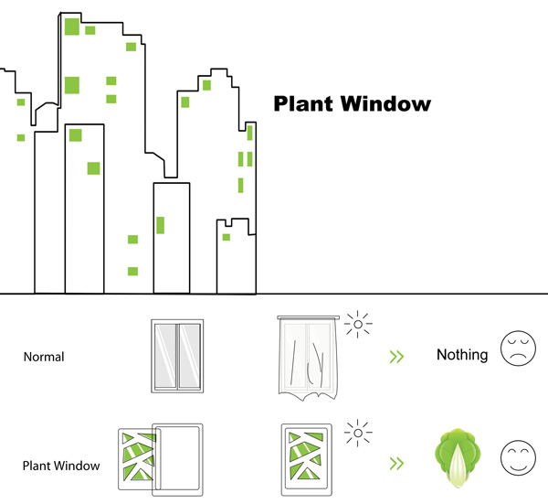 Окна-огороды Plant Window