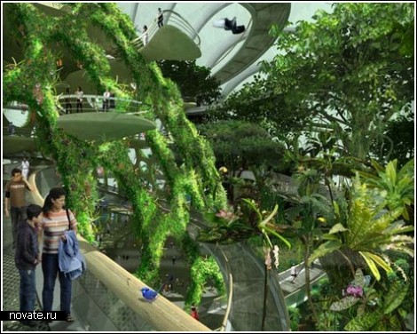 Современный ботанический сад в Сингапуре
