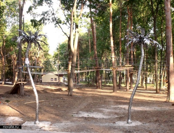 пальма AVPROF 2 ,пальма AVPROF 2,2012-08-21, 14:28,,avprof 