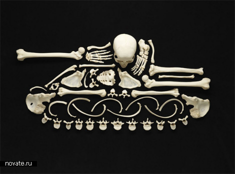 Фигуры из человеческого скелета на военную тему