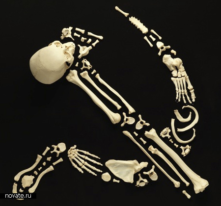 Фигуры из человеческого скелета на военную тему