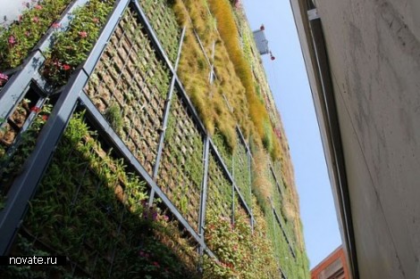 Вертикальный гзон New Green Wall в Испании