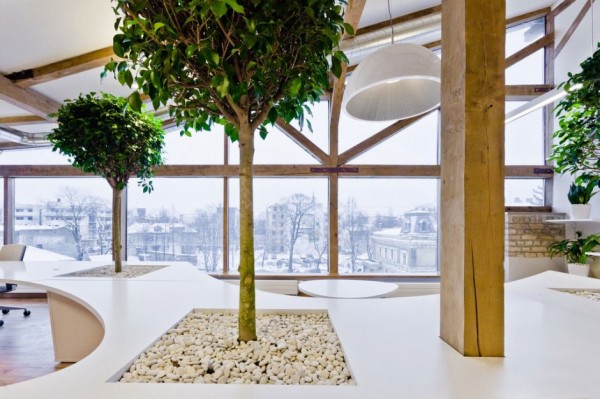 Office Greenhouse – зеленый офис от OpenAD