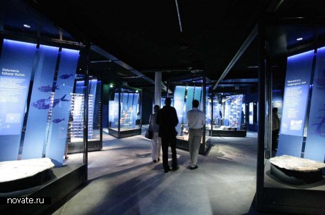 Музейный комплекс Ozeaneum от Behnisch Architekten в Германии