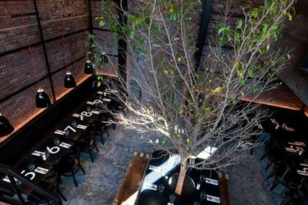Ресторан вокруг дерева от Мишеля Аббоуда (Michel Abboud) на Манхеттене