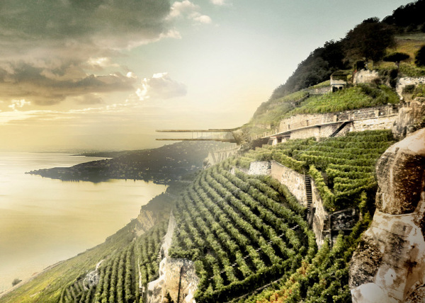 Консольный музей вина в Лаво (Швейцария)