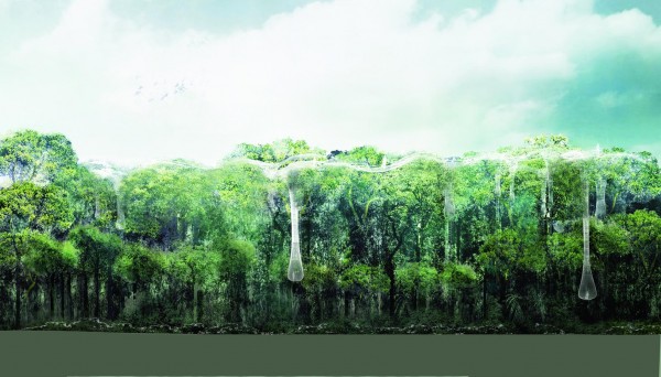 The 6th Layer – Explorative Canopy Trail – проект эко-структуры для лесов Амазонки